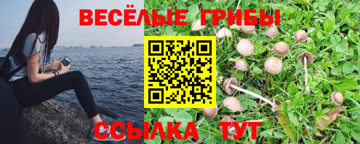 Галлюциногенные грибы Magic Shrooms  Галлюциногенные грибы Magic Shrooms  Беслан  Вход с VPN 